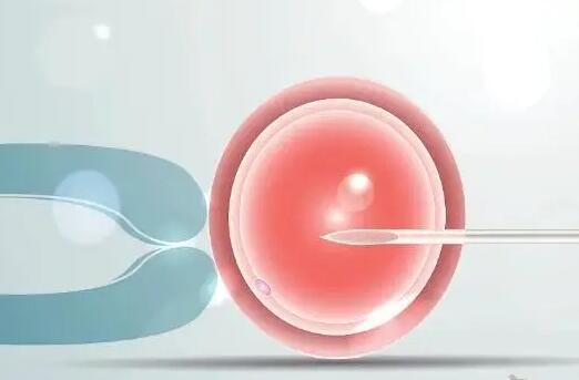 试管婴儿移植冻胚和鲜胚哪个的成功率比较高