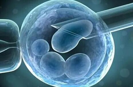 2024秦皇岛试管婴儿价目表提前弄懂取卵、移植多少钱