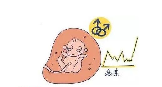 关于广州三代试管婴儿机构考察的一些大实话