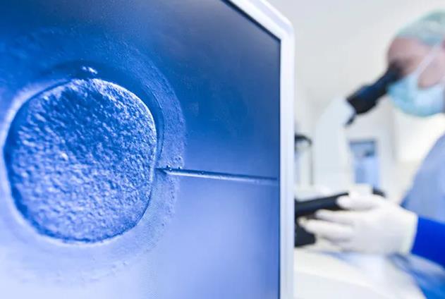试管鲜胚成功率是多大试管鲜胚移植成功率的影响因素
