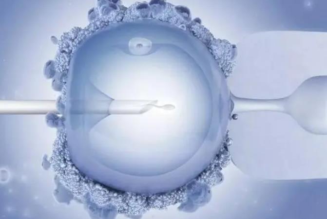 试管8细胞和6细胞胚胎有什么区别，哪个更适合移植