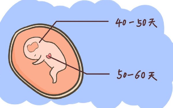 泰国做试管婴儿可以选择小孩性别因为可以进行性别预先检测